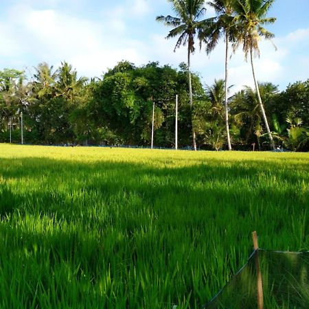 Uma Loka Villa By Shm Ubud Exterior foto